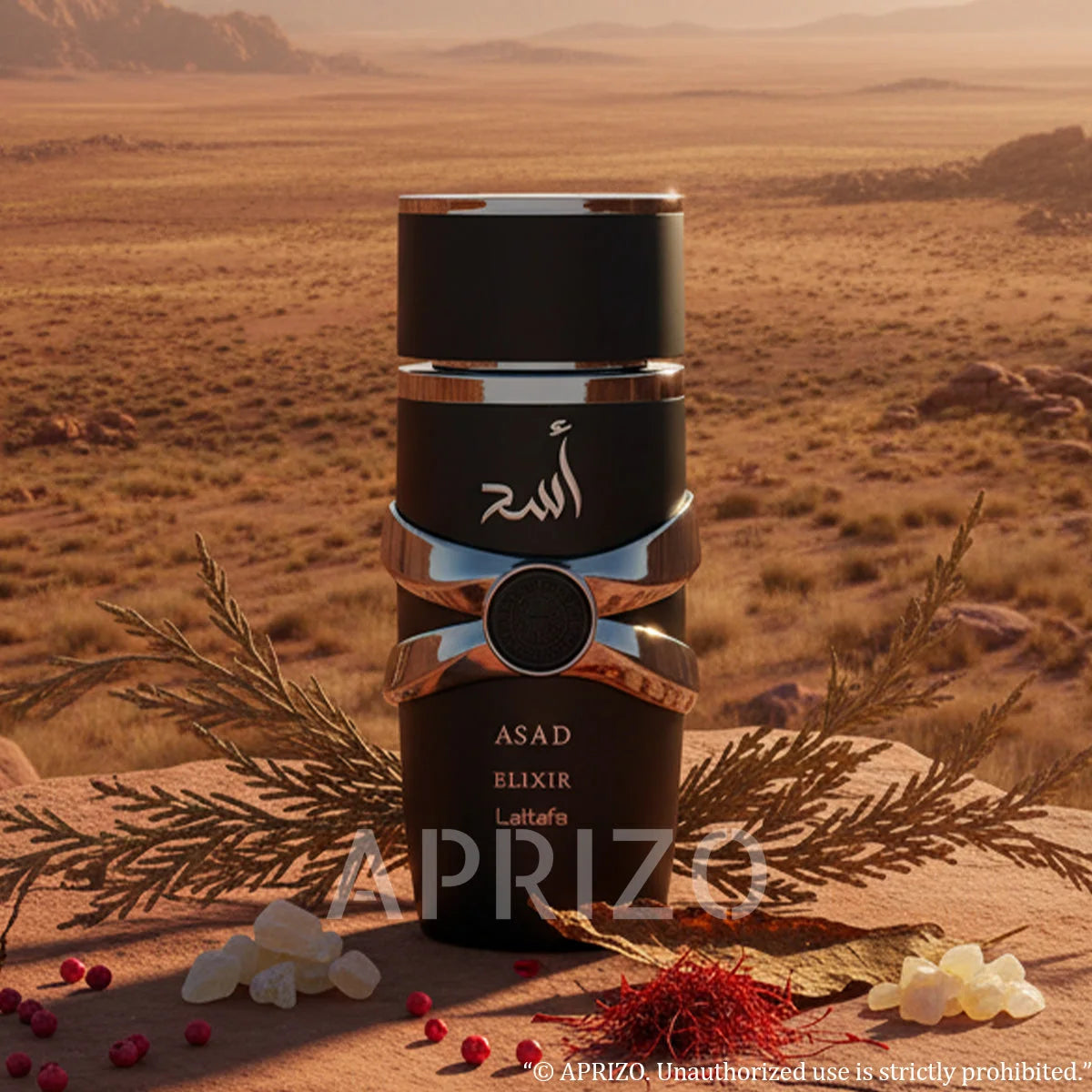 Asad Elixir 100ml Eau de Parfum for Men