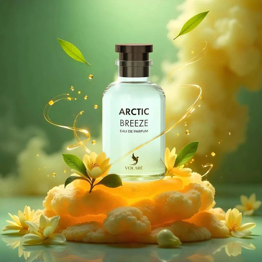 ARCTIC BREEZE