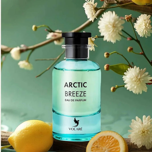 ARCTIC BREEZE